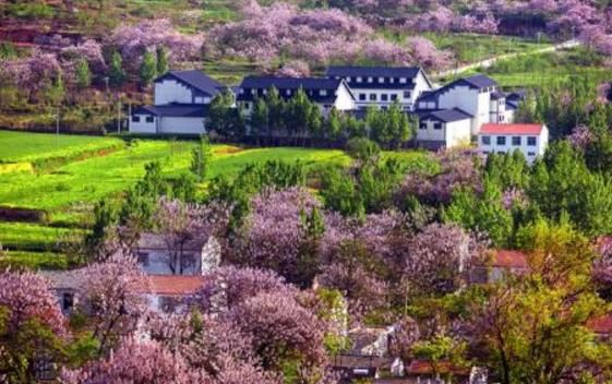 安徽省淮北市十大旅游景點排行榜 淮北有什么好玩的地方