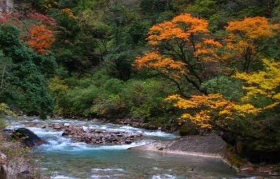 四川省雅安市十大旅游景點(diǎn)排行榜 雅安有什么好玩的地方