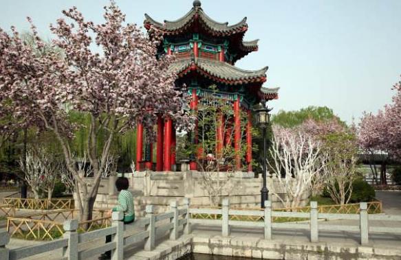 云南省玉溪市十大旅游景點(diǎn)排行榜 玉溪有什么好玩的地方