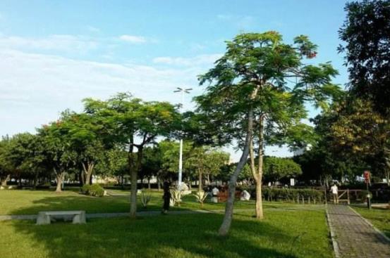 苗栗81.jpg