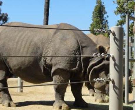 丹麥南丹麥大區十大旅游景點排行 給斯卡德動物園吸引了很多游客