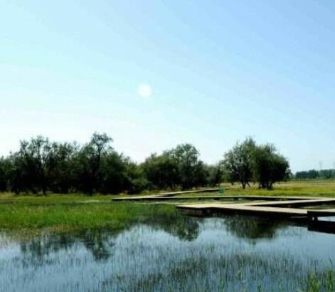 愛(ài)沙尼亞哈留縣十大旅游景點(diǎn)排行 獨(dú)立戰(zhàn)爭(zhēng)勝利紀(jì)念柱位于自由廣場(chǎng)
