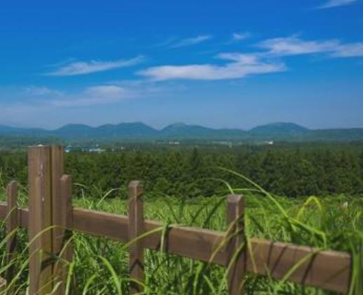 韓國濟州島十大旅游景點排行 牛島是可以選擇全天游覽