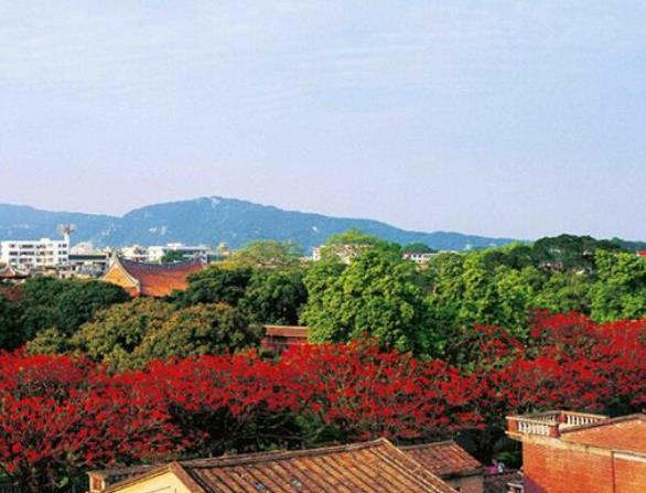 中國八大最佳魅力城市排行 洛陽牡丹根植于隋、盛于唐、甲天下于宋