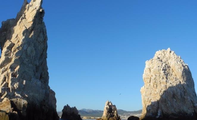 全球十大賞鯨圣地旅游景點(diǎn)排行 冰島可謂是鯨魚(yú)愛(ài)好者的天堂