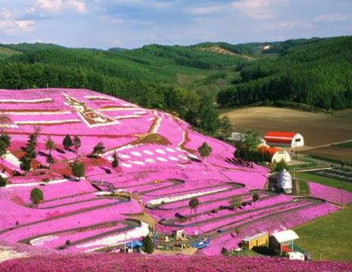 全球十大青春旅行地旅游景點排行 格拉斯是法國香水業的中心