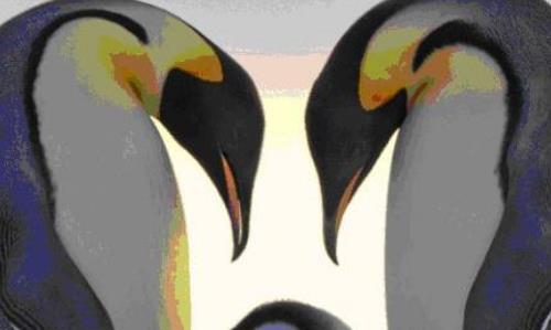 全球五大“活得最累”的動物 紅毛猩猩現在全球僅存3萬只