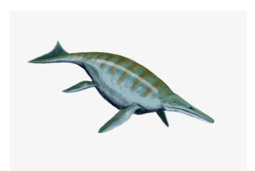 地球五大最可愛動物 尖嘴魚與海馬和海龍是同一族生物