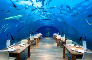 全球三大奇異餐廳 Ithaa是世界上第一家全玻璃的海底餐廳