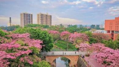 中國(guó)五大美食城市排行榜 北京得首都之利匯集了全國(guó)佳肴