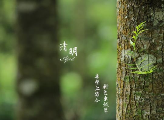 2022清明節(jié)天津會(huì)下雨嗎?2022年清明去天津上墳有什么規(guī)定