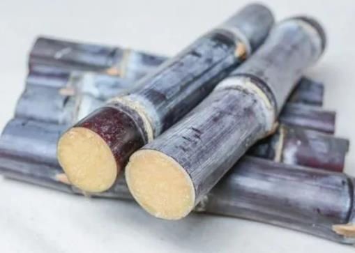 甘蔗煮水要去皮嗎?甘蔗煮水會拉肚子嗎 甘蔗煮水要去皮嗎?甘蔗煮水會拉肚子嗎