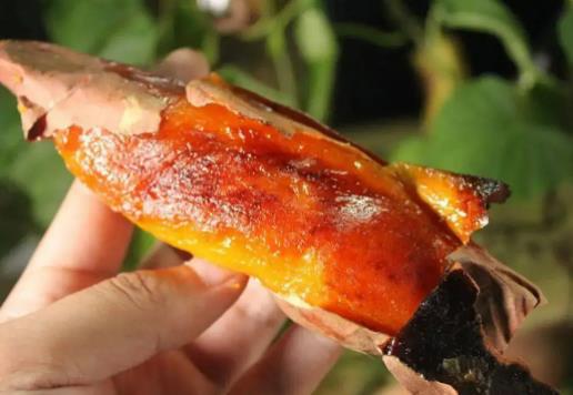 為什么人家用空氣炸鍋烤紅薯會冒油?煙薯糖化多長時間最好吃 為什么人家用空氣炸鍋烤紅薯會冒油?煙薯糖化多長時間最好吃