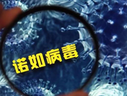 諾如病毒得過一次后有抗體嗎?諾如病毒感染一次還會再感染嗎 諾如病毒得過一次后有抗體嗎?諾如病毒感染一次還會再感染嗎