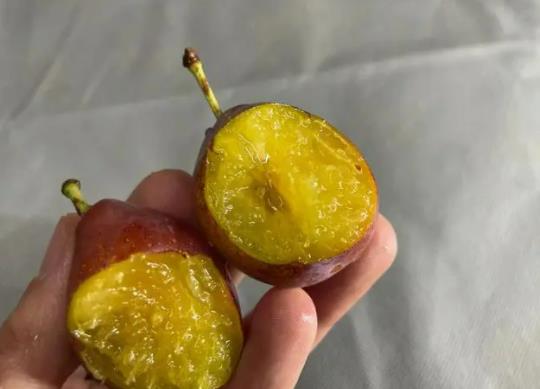 西梅顏色深淺有區別嗎?西梅深色好還是淺色好 西梅顏色深淺有區別嗎?西梅深色好還是淺色好