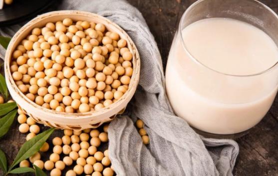 脯乳期可以喝豆漿嗎?脯乳期喝豆漿會回奶嗎? 脯乳期可以喝豆漿嗎?脯乳期喝豆漿會回奶嗎?
