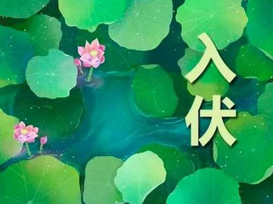三伏天曬背是一邊運動一邊曬還是坐著曬?曬背一定要三伏天曬嗎 三伏天曬背是一邊運動一邊曬還是坐著曬?曬背一定要三伏天曬嗎