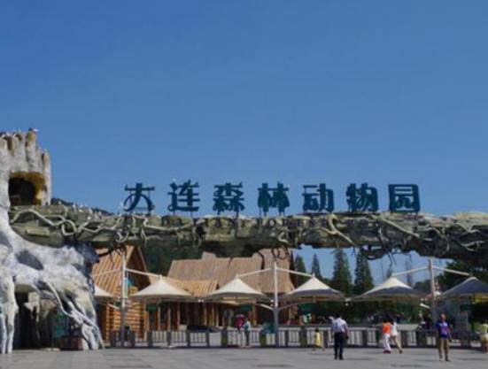 中國十大森林動物園,廣州長隆野生動物園、北京大興野生動物園知名度高 中國十大森林動物園,廣州長隆野生動物園、北京大興野生動物園知名度高