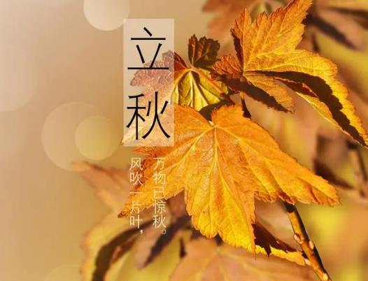 立秋后天氣還會熱多久?立秋后游泳對身體有害嗎 立秋后天氣還會熱多久?立秋后游泳對身體有害嗎