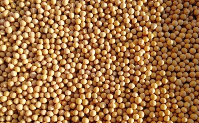 大豆過敏哪些東西不能吃 大豆過敏可以吃醬油嗎 大豆過敏哪些東西不能吃 大豆過敏可以吃醬油嗎