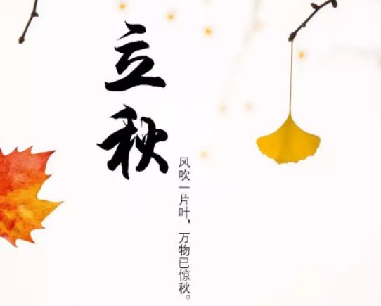 2023_LF᣿ǲǾ͛]