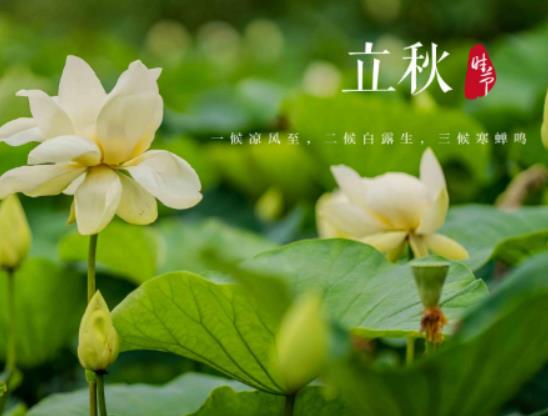 2023立秋后會有臺風出現嗎?立秋后是不是就沒有蚊子了 2023立秋后會有臺風出現嗎?立秋后是不是就沒有蚊子了