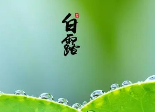 白露節(jié)氣過后不能露腳踝嗎?2023年白露過后溫度怎么樣 白露節(jié)氣過后不能露腳踝嗎?2023年白露過后溫度怎么樣