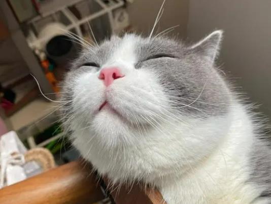 ؈؈ɰԃֻÆĸ؈aʲôaw