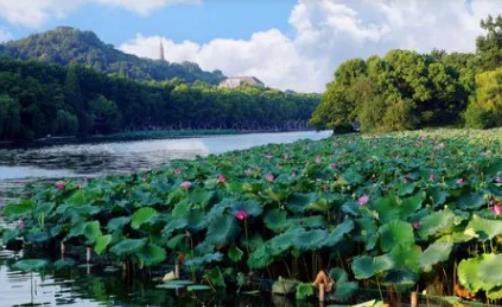 2024年立夏后就熱了嗎?今年夏天我國(guó)的氣溫和往年比是偏高還是偏低 2024年立夏后就熱了嗎?今年夏天我國(guó)的氣溫和往年比是偏高還是偏低