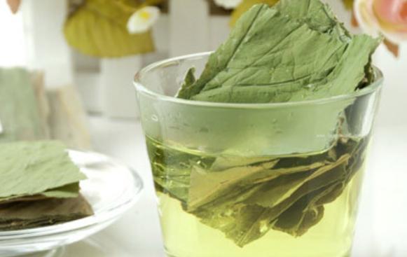綠茶和荷葉茶的營養(yǎng)價值區(qū)別 綠茶和荷葉茶的吃法區(qū)別 綠茶和荷葉茶的營養(yǎng)價值區(qū)別 綠茶和荷葉茶的吃法區(qū)別