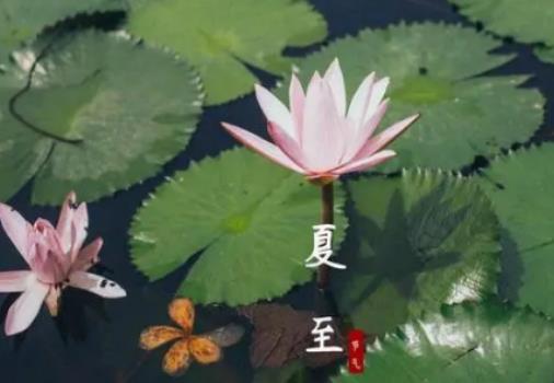 2024年夏至后雨水會多嗎?2024年夏至之后天氣會更熱嗎 2024年夏至后雨水會多嗎?2024年夏至之后天氣會更熱嗎