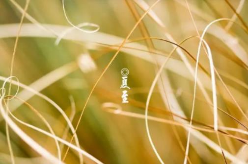 2024年夏至日后是晝長夜短還是晝短夜長?夏至之后是夏天嗎 2024年夏至日后是晝長夜短還是晝短夜長?夏至之后是夏天嗎