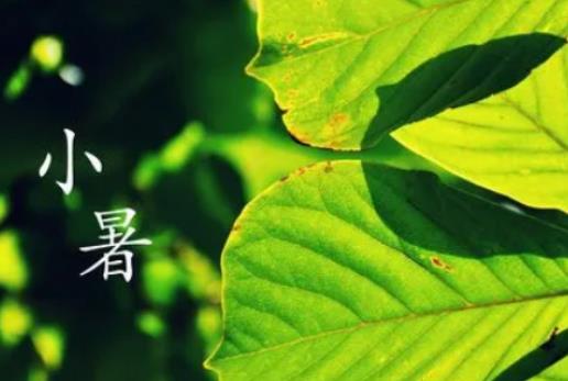 2024年小暑當(dāng)天下雨好嗎?2024年小暑熱不熱 2024年小暑當(dāng)天下雨好嗎?2024年小暑熱不熱