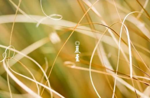 2024年夏至之后天氣會更熱嗎?2024年夏至日后是晝長夜短還是晝短夜長 2024年夏至之后天氣會更熱嗎?2024年夏至日后是晝長夜短還是晝短夜長