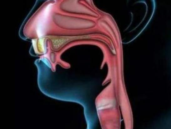 食道癌可以治愈嗎?如何有效預(yù)防食道癌 食道癌可以治愈嗎?如何有效預(yù)防食道癌