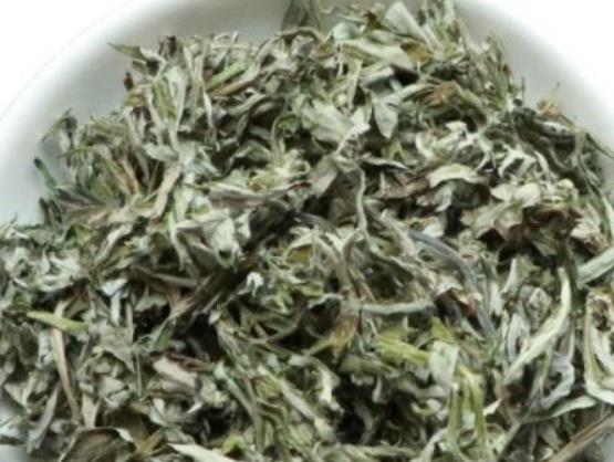 用艾草水洗頭能去頭皮屑嗎?艾葉洗頭能治脫發(fā)嗎 用艾草水洗頭能去頭皮屑嗎?艾葉洗頭能治脫發(fā)嗎