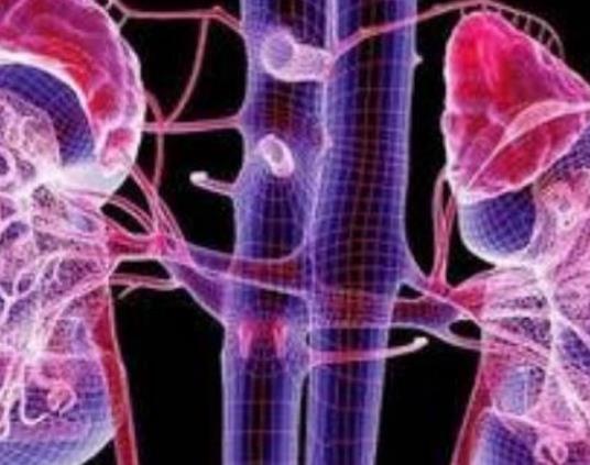 女性腎結石哪里疼?腎結石不能做什么運動 女性腎結石哪里疼?腎結石不能做什么運動