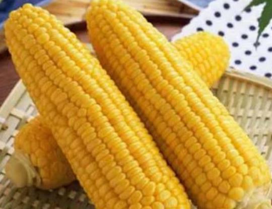 隔夜的玉米能吃嗎?玉米一天可以吃幾根 隔夜的玉米能吃嗎?玉米一天可以吃幾根