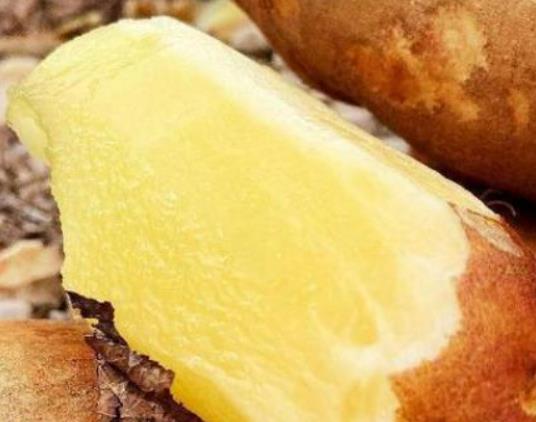 吃雪蓮果可以吃茶樹菇嗎?吃雪蓮果拉肚子怎么回事 吃雪蓮果可以吃茶樹菇嗎?吃雪蓮果拉肚子怎么回事