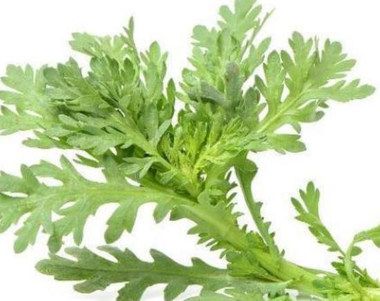 芹菜汁可以祛斑嗎?喝芹菜汁變黑怎么回事 芹菜汁可以祛斑嗎?喝芹菜汁變黑怎么回事