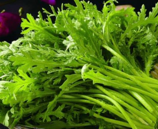 芹菜過夜還能吃嗎?野芹菜有毒嗎 芹菜過夜還能吃嗎?野芹菜有毒嗎
