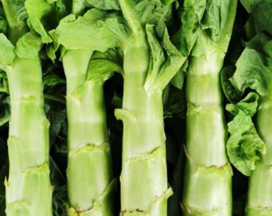 萵筍和什么菜相克?蘆筍萵筍一起吃有哪些好處? 萵筍和什么菜相克?蘆筍萵筍一起吃有哪些好處?