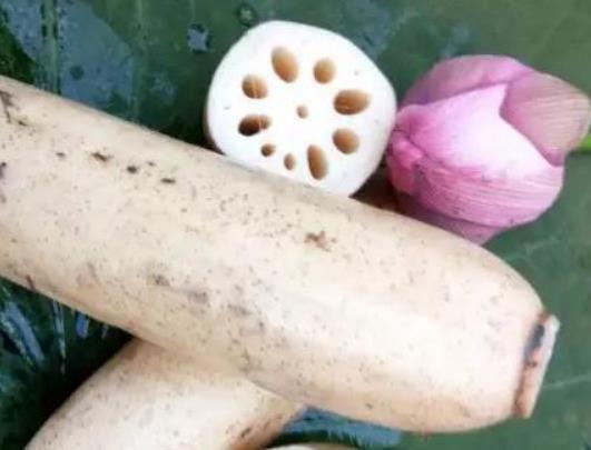 蓮藕煮熟變黑了還能吃嗎?吃蓮藕有哪些危害 蓮藕煮熟變黑了還能吃嗎?吃蓮藕有哪些危害