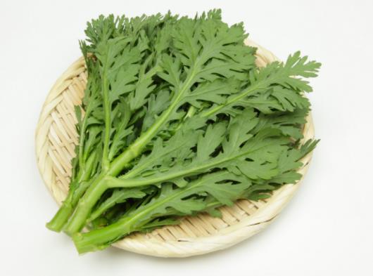 茼蒿治療失眠嗎?吃茼蒿會過敏嗎 茼蒿治療失眠嗎?吃茼蒿會過敏嗎