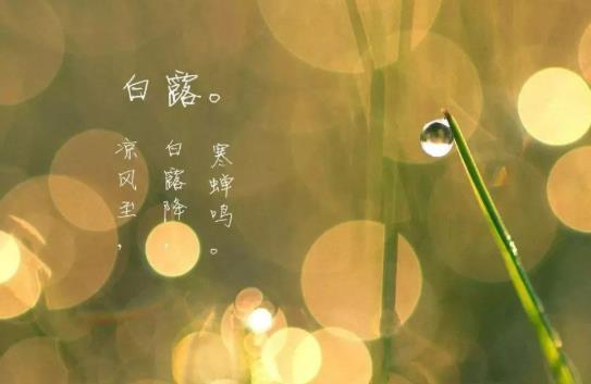 白露接秋分是幾月?2021白露過(guò)后天氣還潮濕嗎?