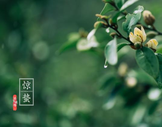 驚蟄不宜做什么?驚蟄節氣的含義是什么