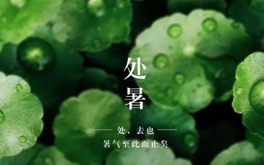 處暑祝福語簡短精選2021 2021處暑適合發朋友圈的句子大全