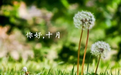 十月第一天怎么發朋友圈2021 10月第一天發朋友圈的句子2021精選